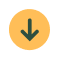 Scroll Down Arrow icon